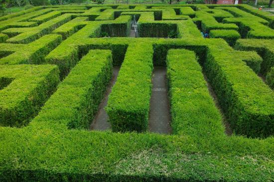 Coban Rondo Waterfall